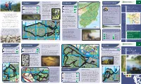 Mid Argyll and Kintyre