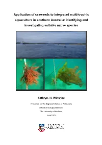 Application of Seaweeds to Integrated Multi-Trophic Aquaculture in Southern Australia: Identifying and Investigating Suitable Native Species