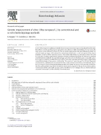 Olea Europaea L.) by Conventional and in Vitro Biotechnology Methods
