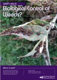 What's New in Biological Control of Weeds?