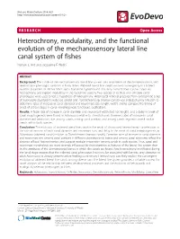 Heterochrony, Modularity, and the Functional Evolution of the Mechanosensory Lateral Line Canal System of Fishes Nathan C Bird and Jacqueline F Webb*