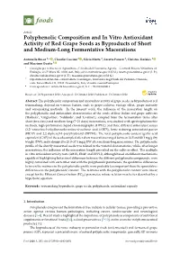 Polyphenolic Composition and in Vitro Antioxidant Activity of Red Grape Seeds As Byproducts of Short and Medium-Long Fermentative Macerations