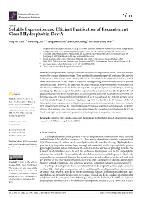 Soluble Expression and Efficient Purification of Recombinant Class I
