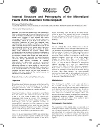 Internal Structure and Petrography of the Mineralized Faults in the Radomiro Tomic Deposit