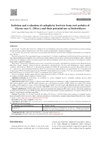Isolation and Evaluation of Endophytic Bacteria from Root Nodules of Glycine Max L