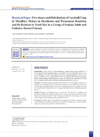 Prevalence and Distribution of Carabelli Cusp in Maxillary Molars