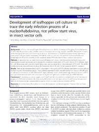 Development of Leafhopper Cell Culture to Trace the Early Infection Process of a Nucleorhabdovirus, Rice Yellow Stunt Virus, In