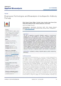 Engineered Technologies and Bioanalysis of Multispecific Antibody Formats