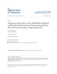 Nephromyces Encodes a Urate Metabolism Pathway and Predicted