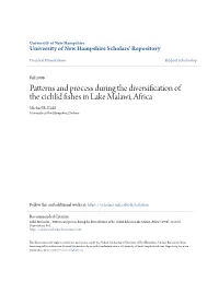 Patterns and Process During the Diversification of the Cichlid Fishes in Lake Malawi, Africa Michael R