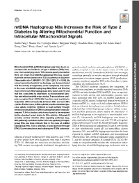 Full Text (PDF)