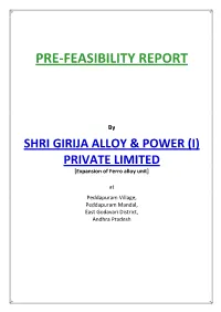 Pre-Feasibility Report