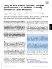 Tuning the Baird Aromatic Triplet-State Energy of Cyclooctatetraene to Maximize the Self-Healing Mechanism in Organic Fluorophores