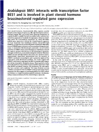 Arabidopsis IWS1 Interacts with Transcription Factor BES1 and Is Involved in Plant Steroid Hormone Brassinosteroid Regulated Gene Expression