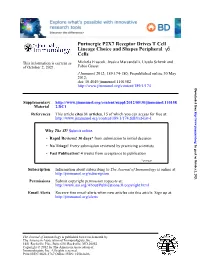 Cells Δγ Lineage Choice and Shapes Peripheral Purinergic P2X7