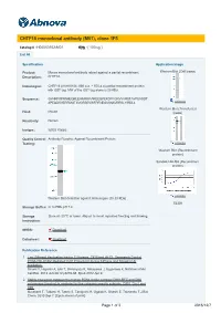 CHTF18 Monoclonal Antibody (M01), Clone 1F5