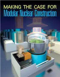EPRI Journal, Spring 2010: Nuclear Modular Construction