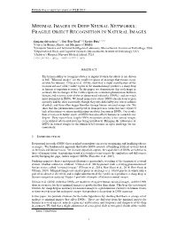 Minimal Images in Deep Neural Networks: Fragile Object Recognition in Natural Images