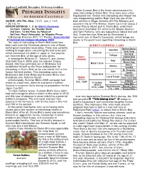 PEDIGREE INSIGHTS Close Inbreeding to Storm Bird, There Have Been Other B Y a N D R E W C a U L F I E L D Flag-Bearers Too