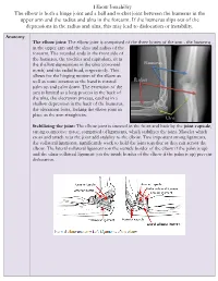 Elbow Instability the Elbow Is Both a Hinge Joint and a Ball and Socket Joint Between the Humerus in the Upper Arm and the Radius and Ulna in the Forearm