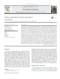 Epiblast Morphogenesis Before Gastrulation