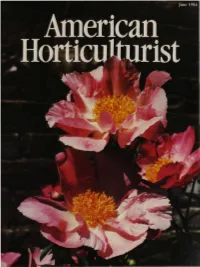 A New Look at Mountain Laurel My
