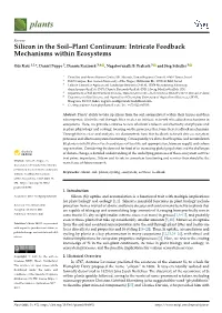 Silicon in the Soil–Plant Continuum: Intricate Feedback Mechanisms Within Ecosystems