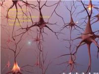 System Science D