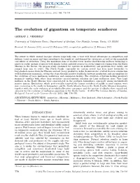 The Evolution of Gigantism on Temperate Seashores