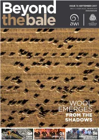 Wool Emerges from the Shadows