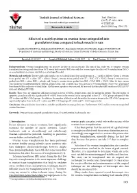 Effects of N-Acetylcysteine on Ovarian Tissue Autografted Into Granulation Tissue Compared to Back Muscle in Rats