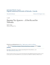 Eurasian Tree Sparrow—A First Record for Nebraska Mark A