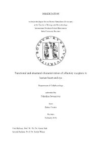 Functional and Structural Characterization of Olfactory Receptors in Human Heart and Eye