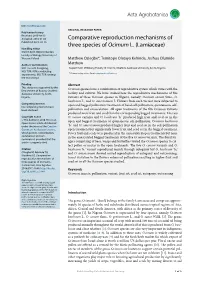 Comparative Reproduction Mechanisms of Three Species of Ocimum L.(Lamiaceae)