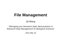 File Management
