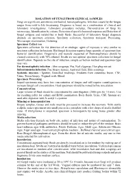 ISOLATION of FUNGI from CLINICAL SAMPLES Fungi Are Significant, Sometimes Overlooked, Human Pathogens. Infection Caused by the F