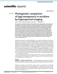 Phylogenetic Comparison of Egg Transparency in Ascidians by Hyperspectral Imaging Takumi T