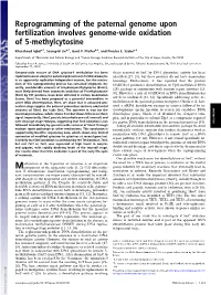 Reprogramming of the Paternal Genome Upon Fertilization Involves Genome-Wide Oxidation of 5-Methylcytosine
