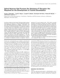 Spinal Neurons That Possess the Substance P Receptor Are Required for the Development of Central Sensitization
