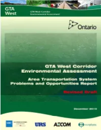 Area Transportation System Problems and Opportunities Report