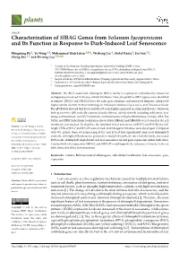 Characterization of Slbag Genes from Solanum Lycopersicum and Its Function in Response to Dark-Induced Leaf Senescence