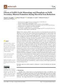 Effects of Fe(III) Oxide Mineralogy and Phosphate on Fe(II) Secondary Mineral Formation During Microbial Iron Reduction