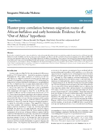 Hunter-Prey Correlation Between Migration Routes of African Buffaloes and Early Hominids