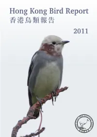 Hong Kong Bird Report 2011