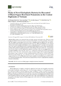 Study of Novel Endophytic Bacteria for Biocontrol of Black Pepper Root-Knot Nematodes in the Central Highlands of Vietnam