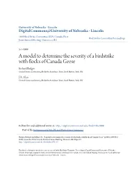 A Model to Determine the Severity of a Birdstrike With
