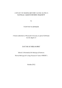 A Study of Marine Benthic Algae Along a Natural Carbon Dioxide Gradient