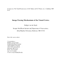 Image Parsing Mechanisms of the Visual Cortex