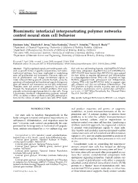 Biomimetic Interfacial Interpenetrating Polymer Networks Control Neural Stem Cell Behavior