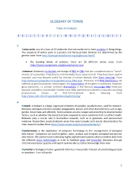 Glossary of Terms